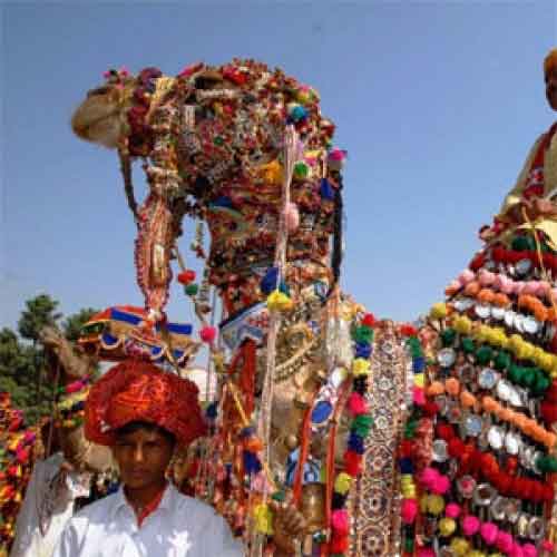 Alquiler de Coches Pushkar